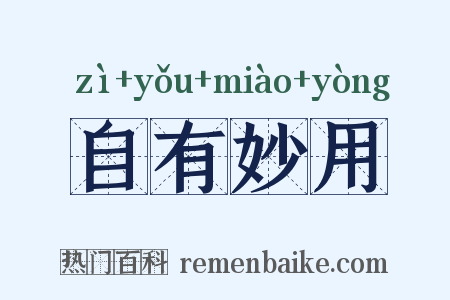 自有妙用是什么意思的图片